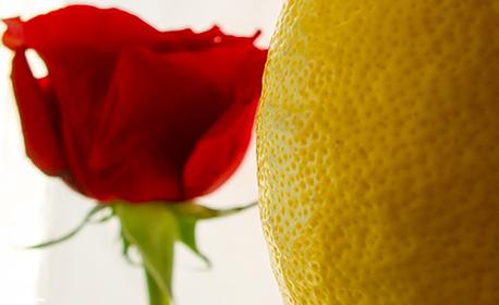 Depurare il corpo con la cura al succo di limone
