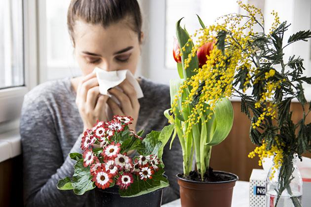 Allergie di primavera, come prevenirle e combatterle con l’omeopatia